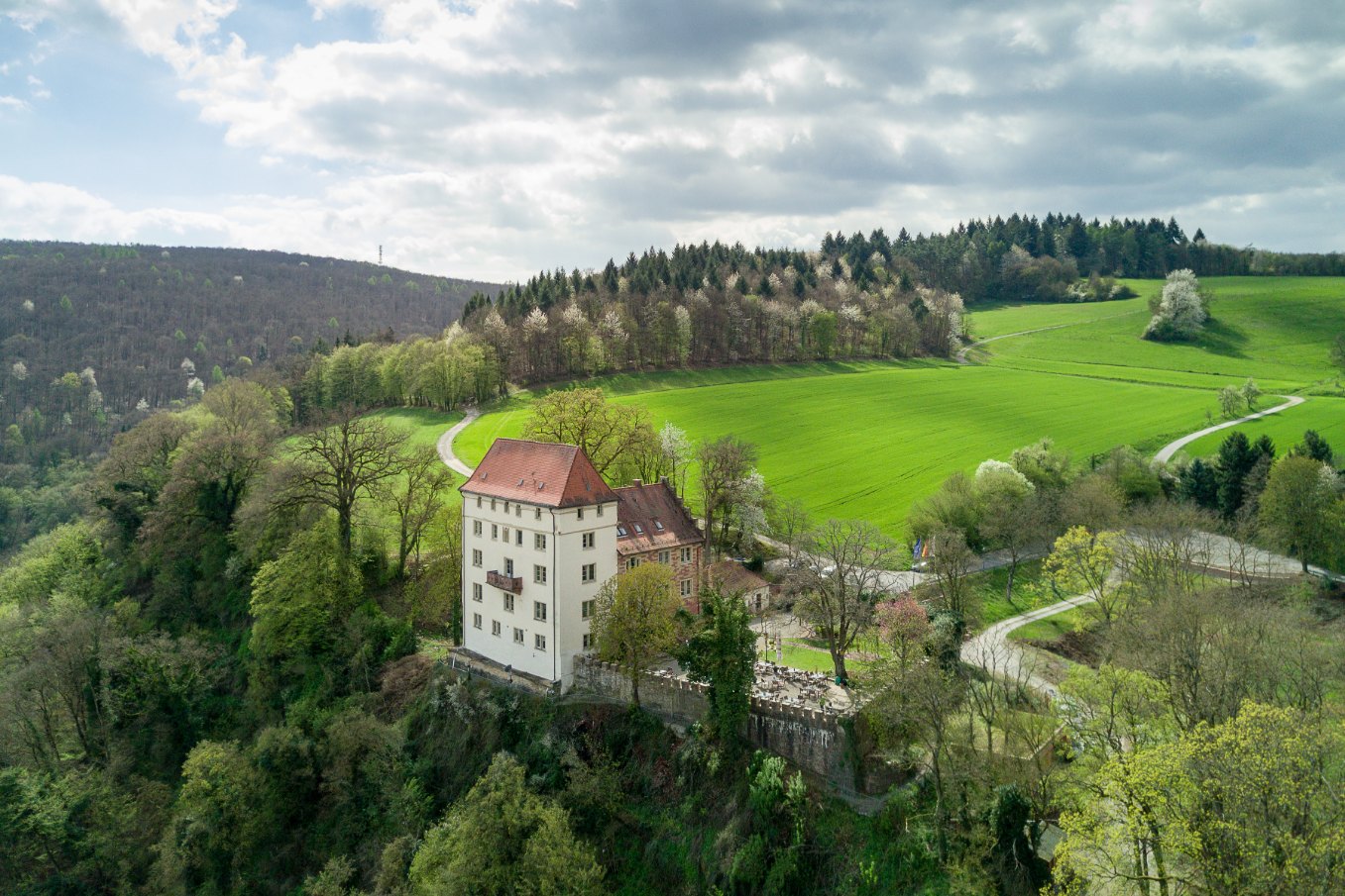 Schloss Neuburg aus der Luft über dem Neckartal