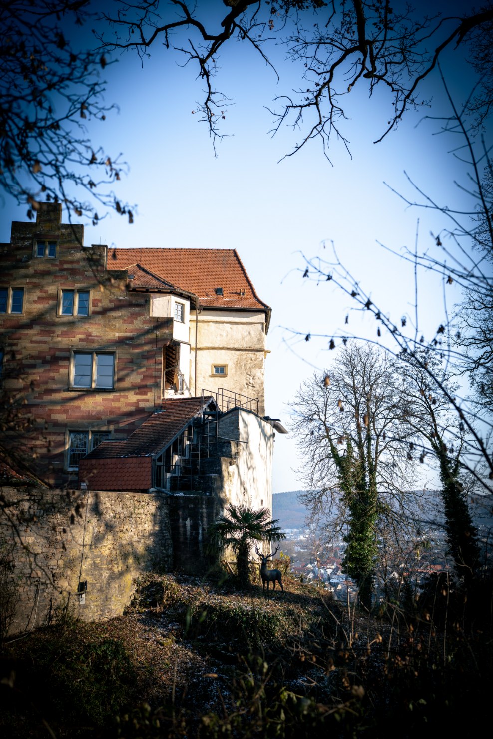 Schloss Neuburg in der blauen Stunde